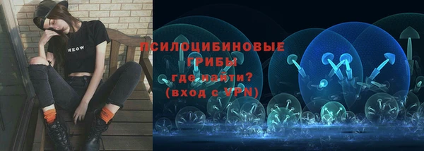 стафф Абдулино