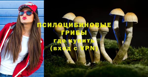 стафф Абдулино