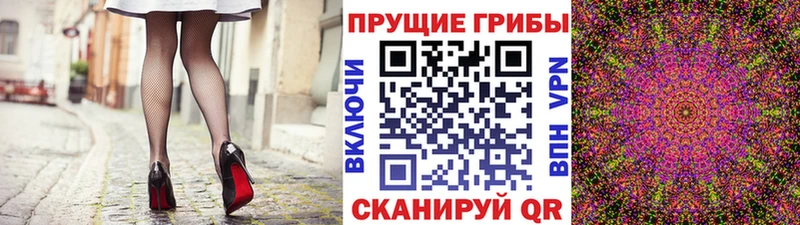 где найти   Чишмы  blacksprut tor  Псилоцибиновые грибы ЛСД 